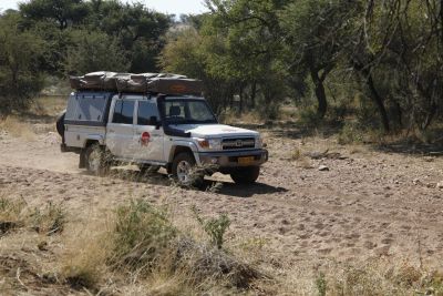 Safari durch Afrika mit dem Toyota Landcruiser für 4 Personen von Africar