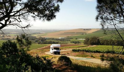Durch die Weinberge Südafrikas mit dem Discoverer 6 von Bobo Campers