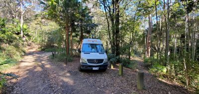 Durch Baumalleen mit dem Campervan Venturer von Britz Australien