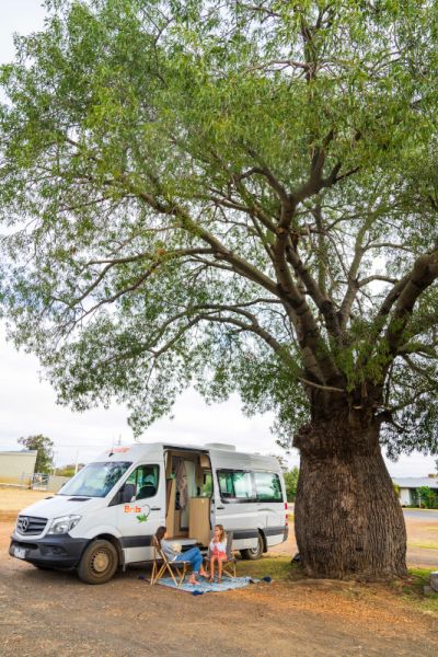 Unter einem Baum mit dem Camper Venturer Plus von Britz Australien