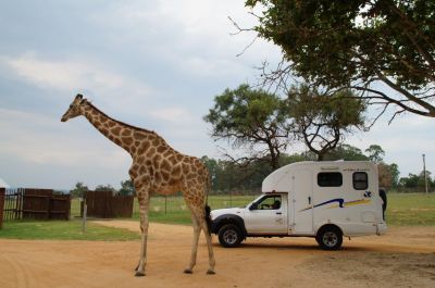 Mti dem Bobo-Campers Afrika  Discoverer FunX2 auf Safari