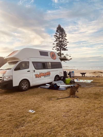 Känguru Besuch am Travellers Autobarn HI 5 Campervan Australien